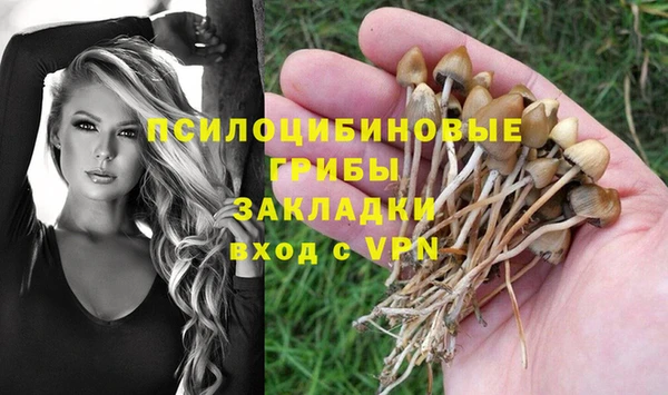 каннабис Алексеевка