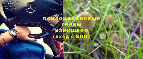 дмт Алексин