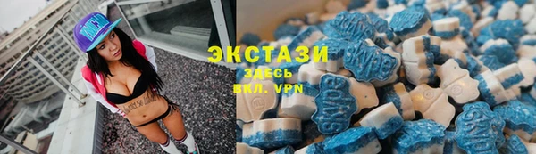 PSILOCYBIN Алзамай