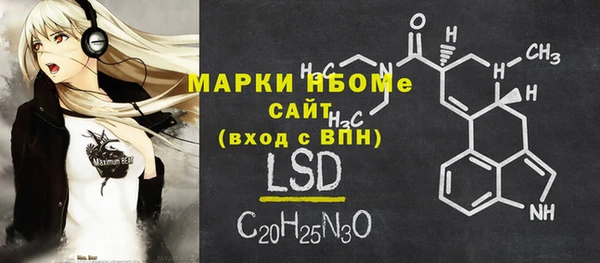 PSILOCYBIN Алзамай