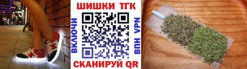 Конопля сатива  KRAKEN   Ветлуга 